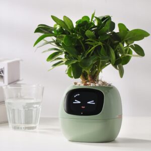 Inteligentna doniczka IVY SMART