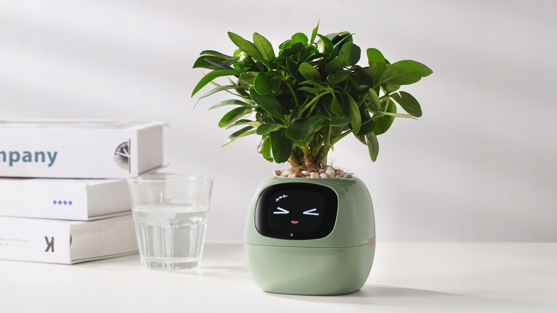 Inteligentna doniczka IVY SMART